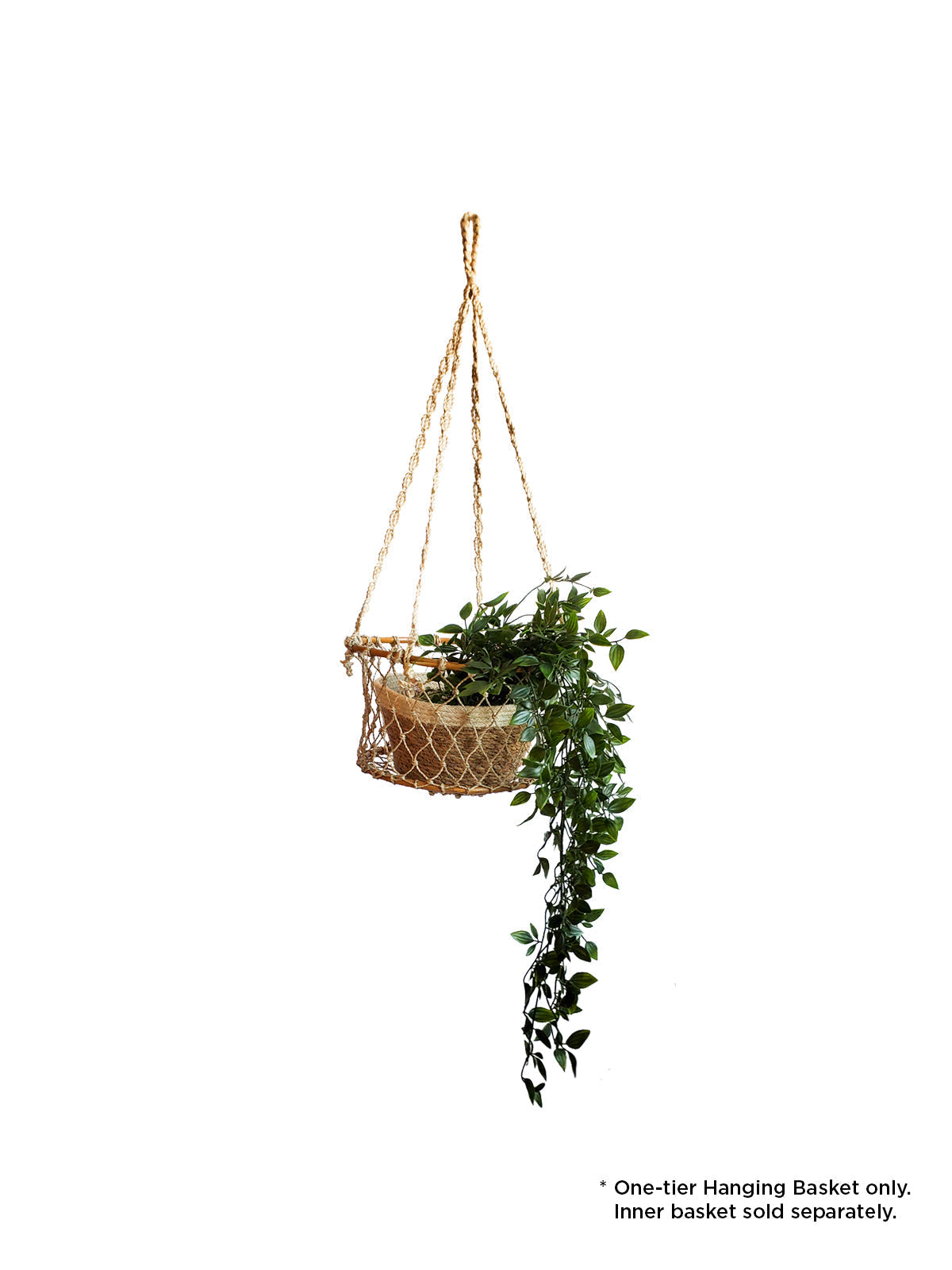 Hanging Baskets